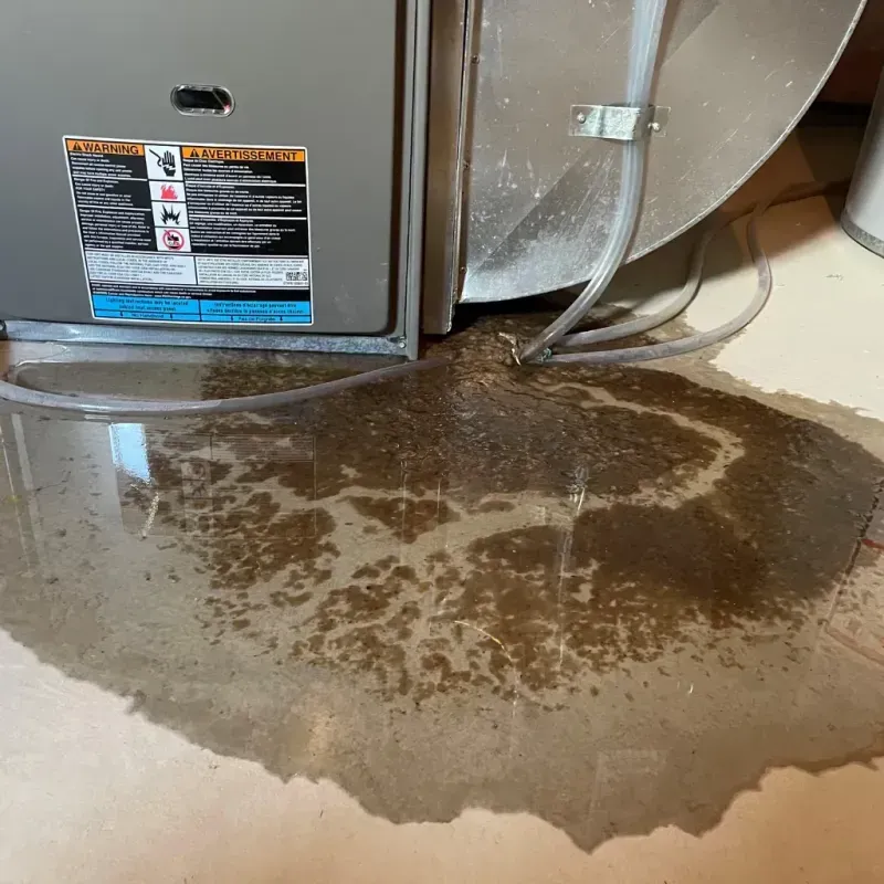 Appliance Leak Cleanup in Fayetteville, WV